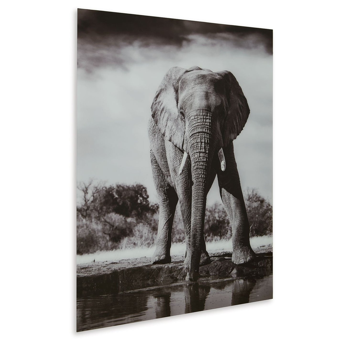 Glinyard - Black / White - Wall Art