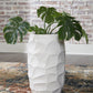 Patenleigh - White - Vase