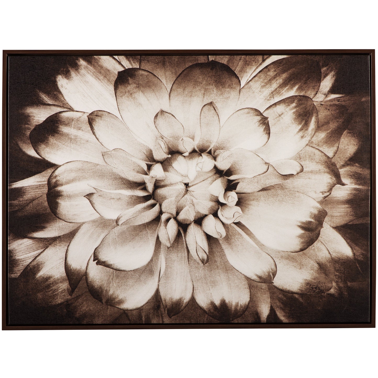 PHIALA WALL ART