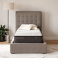 Limited Edition Plush - Mattress