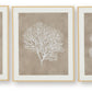 Hendridge - Taupe / White - Wall Art Set (Set of 3)