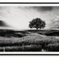 Deborland - Wall Art - Black / White