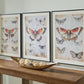 Jossletts - Orange / Black / Ivory - Wall Art Set (Set of 3)