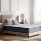 Anniversary Edition Plush - Mattress