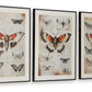 Jossletts - Orange / Black / Ivory - Wall Art Set (Set of 3)