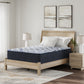 Firm Luxe 2.0 - Mattress