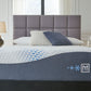 Millennium - Cushion Firm Gel Hybrid Mattress, Foundation - Fraser Furniture & Mattresses