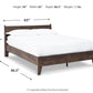 Calverson - Panel Platform Bed