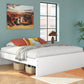 Onita - Platform Bed