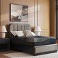 Millennium 2.0 Hybrid 14 Inch - Mattress
