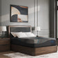 Millennium 2.0 Foam 14 Inch - Mattress