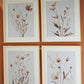 Chettings - Beige / Gray / Blush - Wall Art Set (Set of 4)