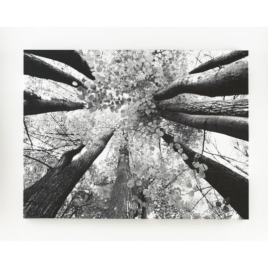 ANANYA WALL ART